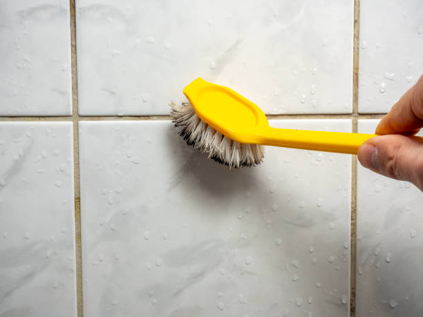 Home Mold Removal in East Niles, CA