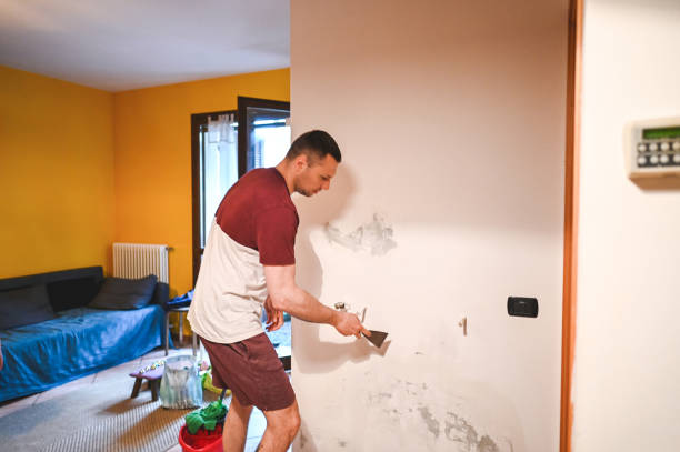 Best Best Mold Removal Companies  in East Niles, CA